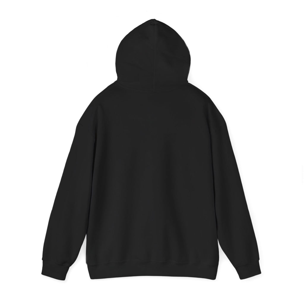 I ♥ Historic Homes Hoodie