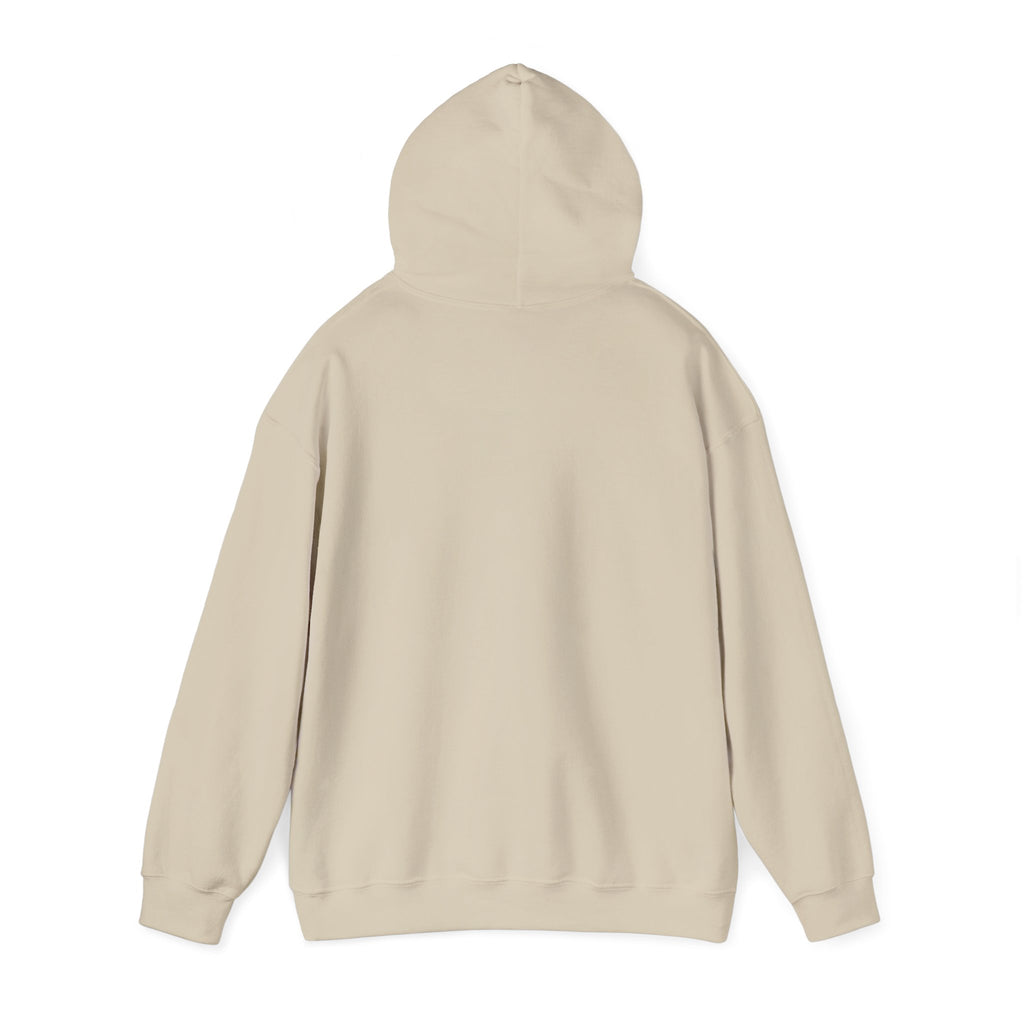 I ♥ Historic Homes Hoodie