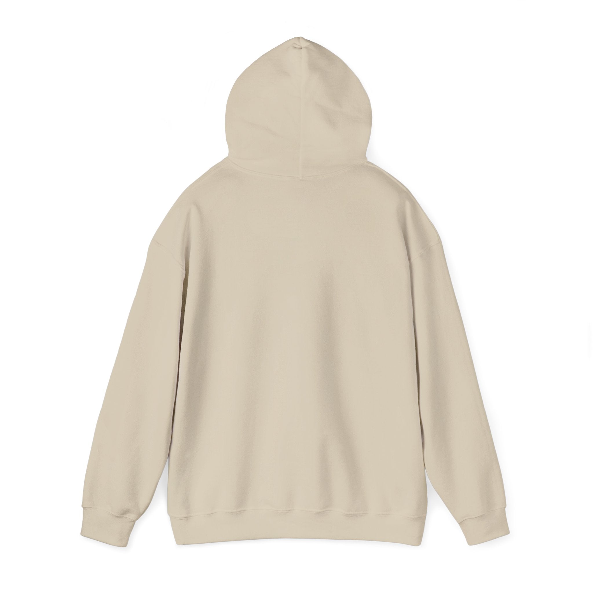 I ♥ Historic Homes Hoodie
