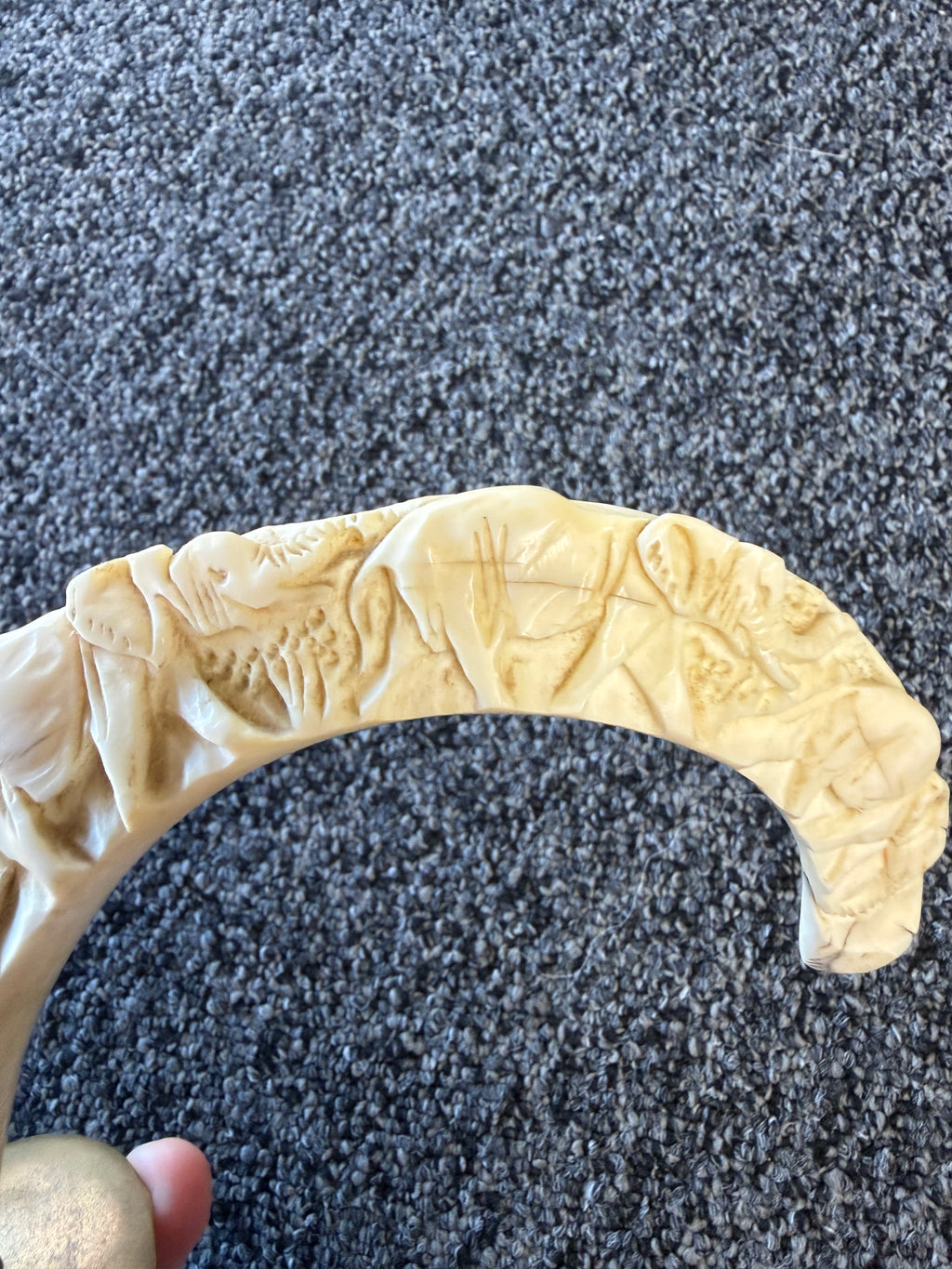 Carved Warthog Tusk