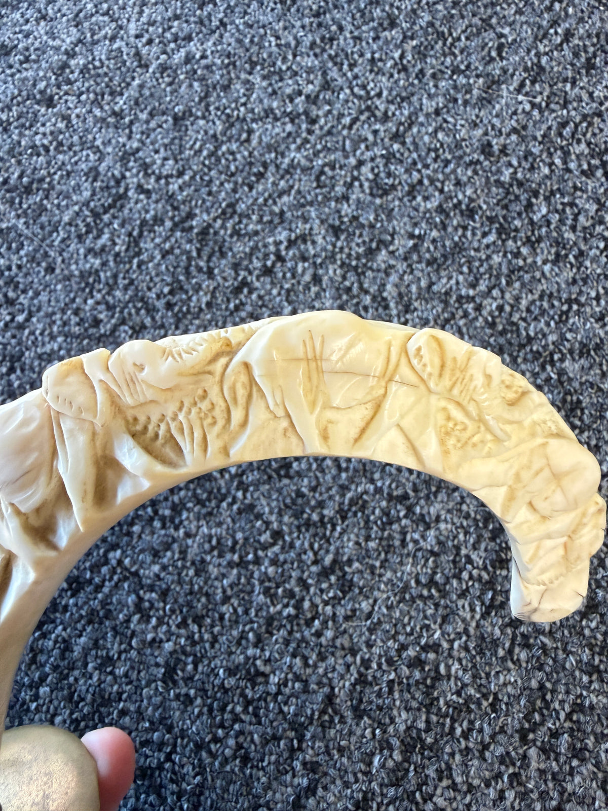 Carved Warthog Tusk