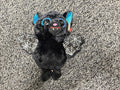 Ty Beanie Boo vampire bat plush – black with blue glitter ears and spiderweb wings