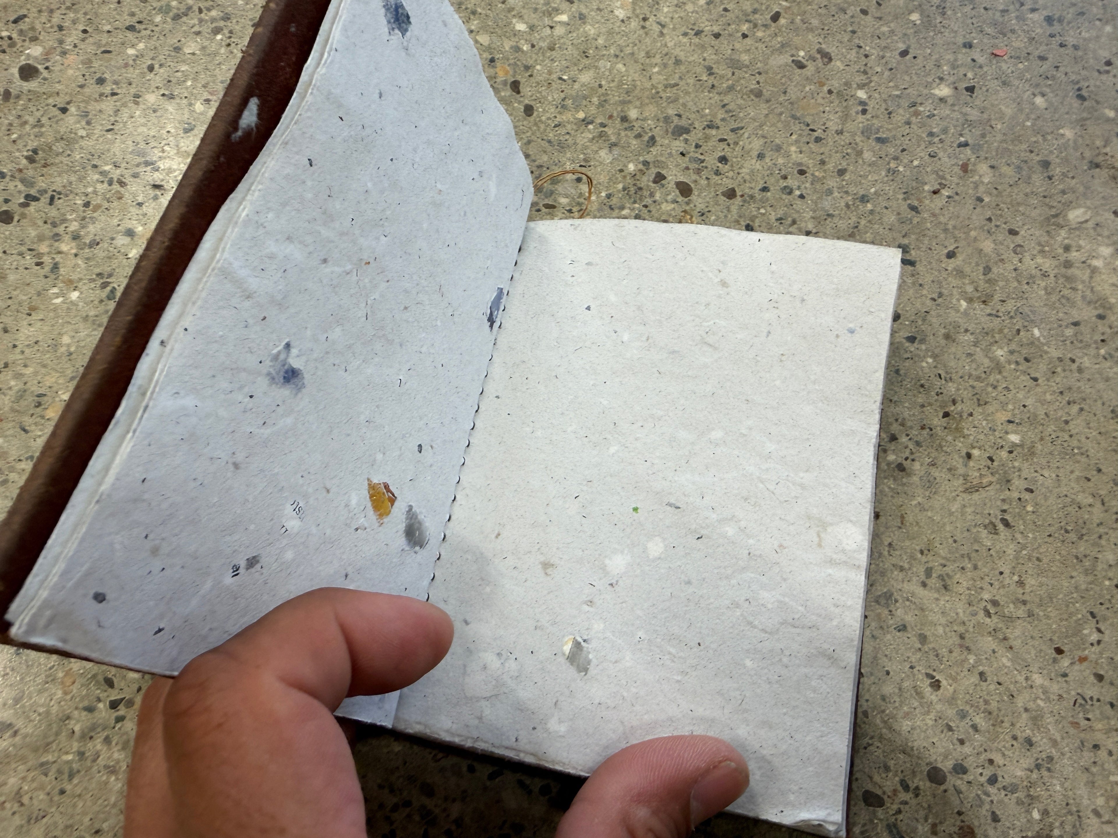 Interior blank pages of hand-tooled leather Charmander journal