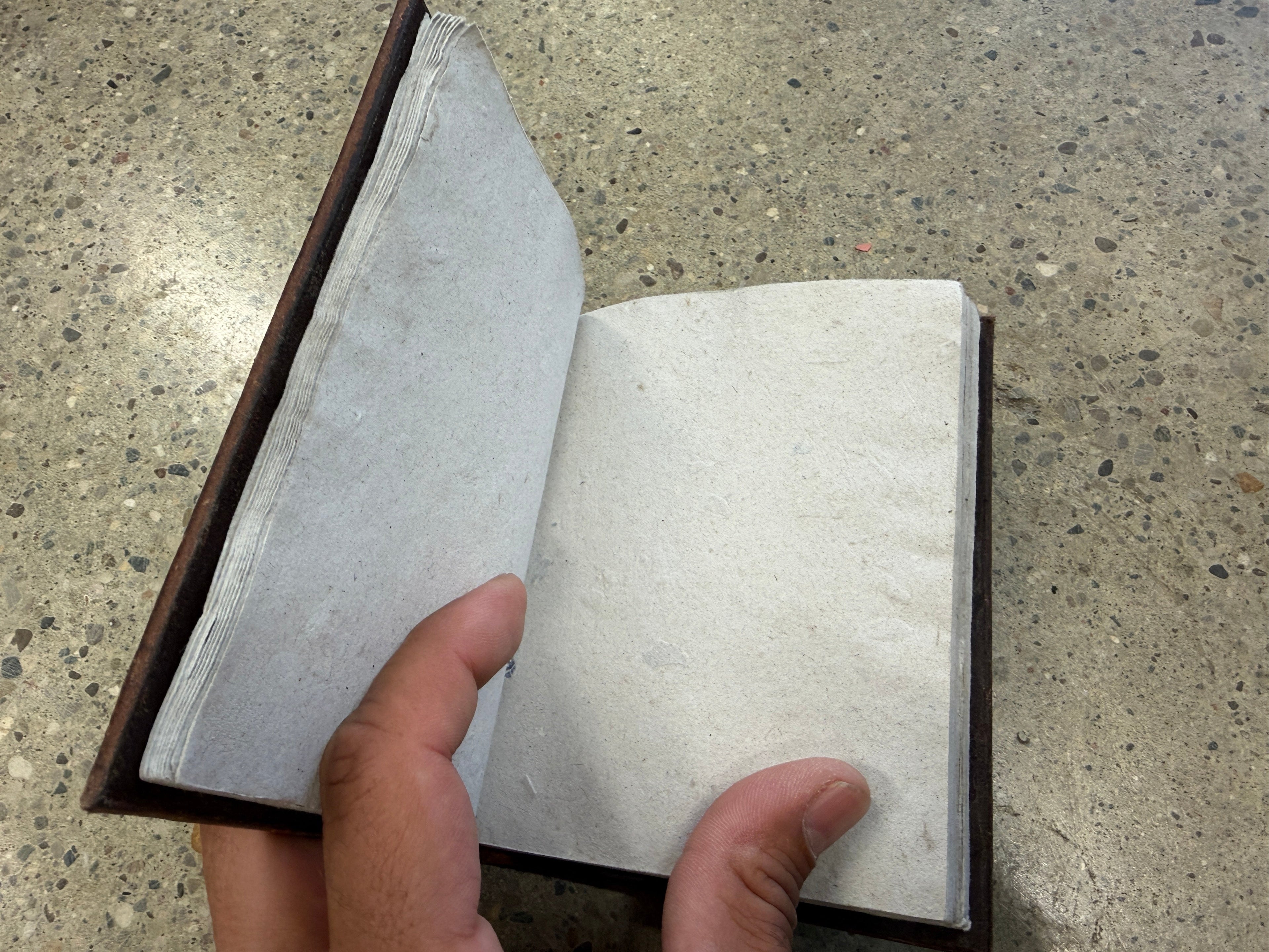 Interior blank pages of hand-tooled leather wolf journal