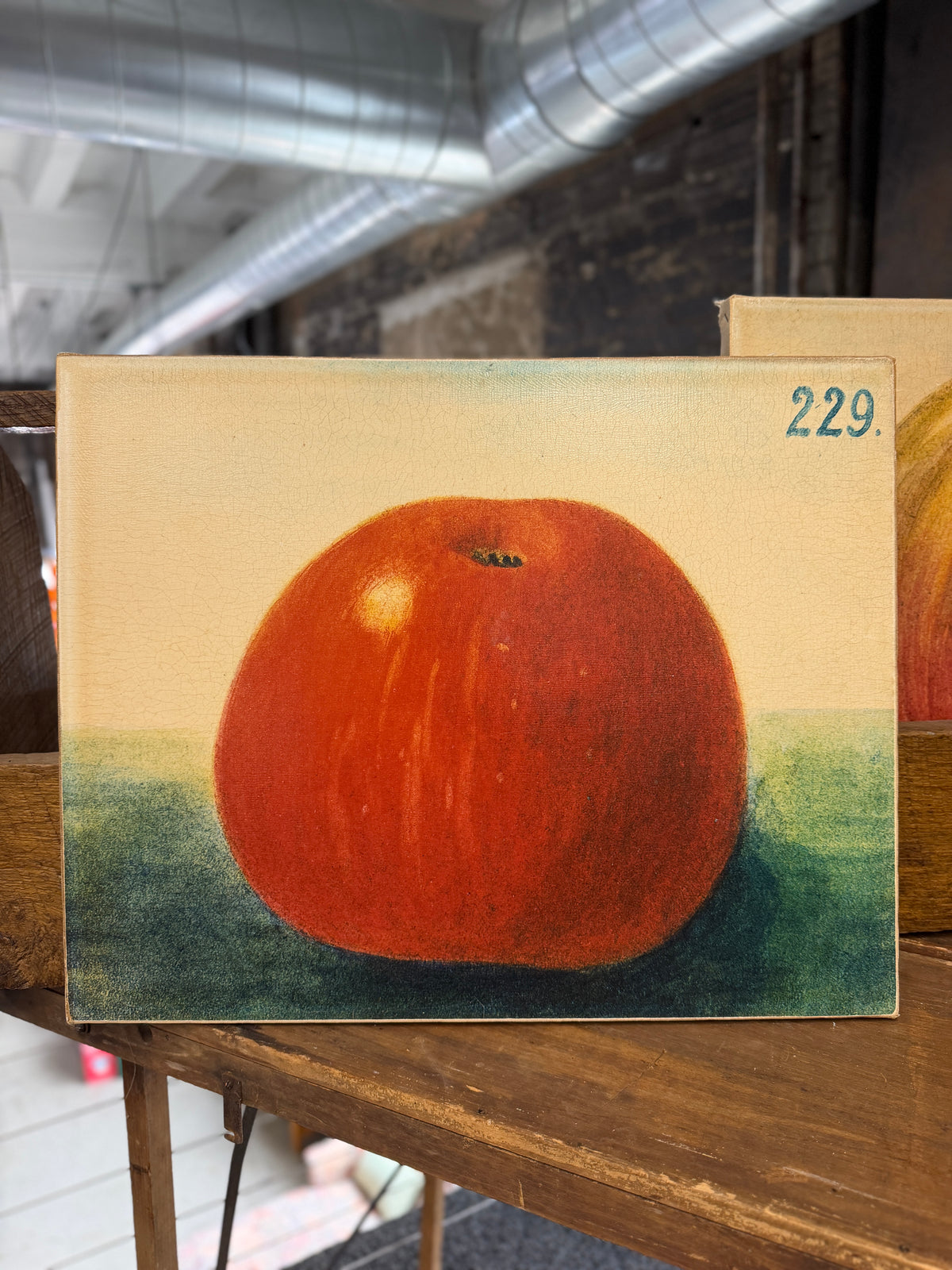 Apple picture on canvas