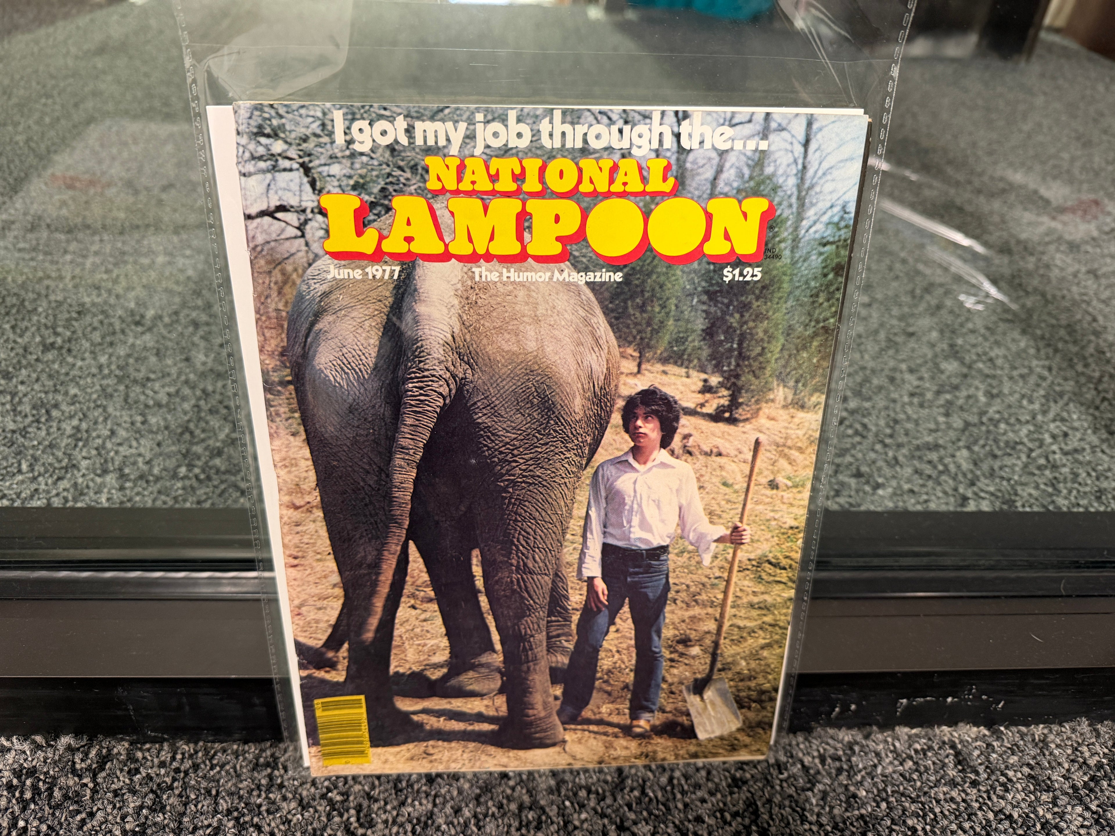 National Lampoon June 1977 cover with young man standing beside elephant with shovel
