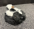 Skunk Hat