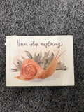 Snail Decor