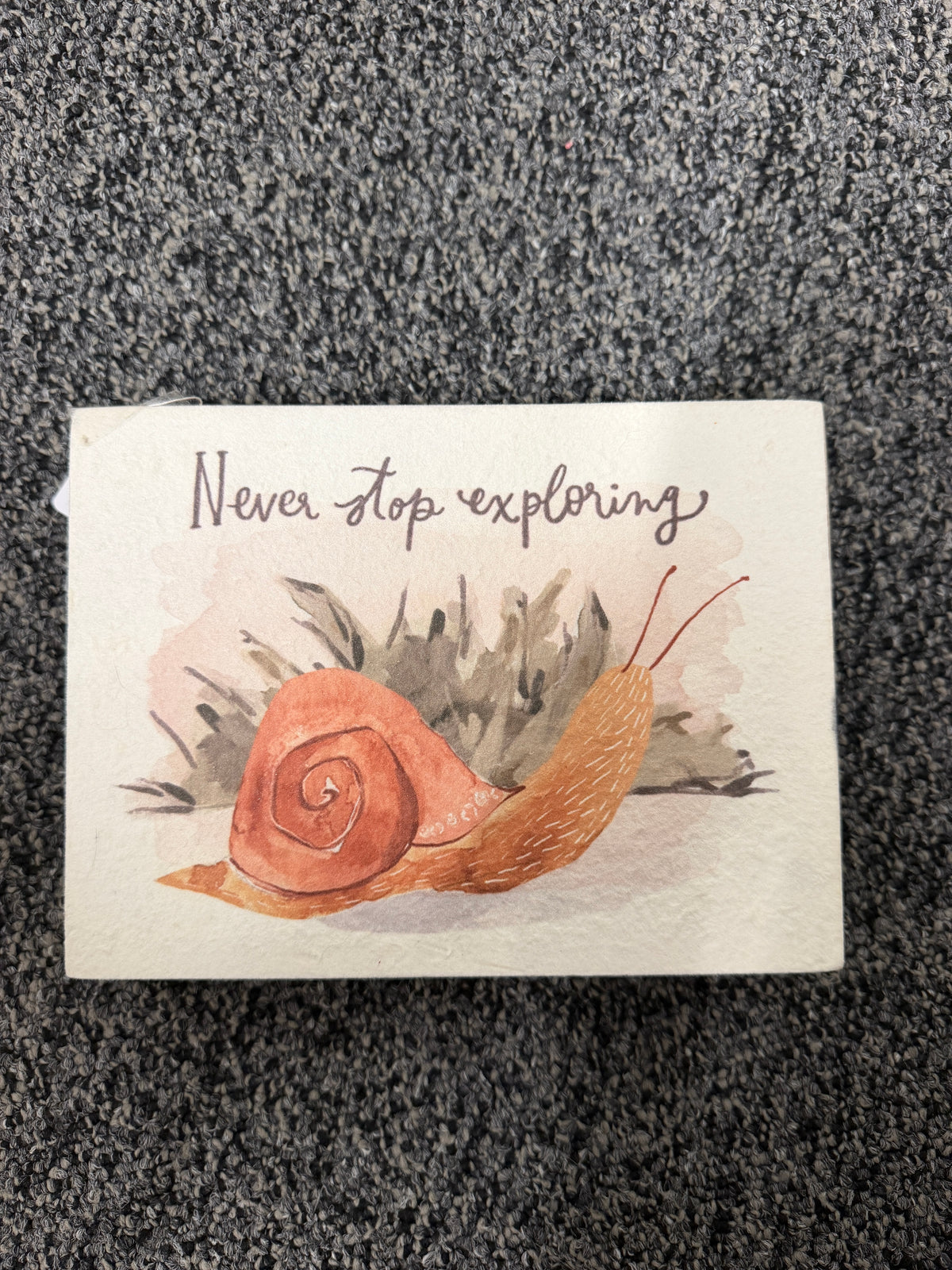 Snail Decor