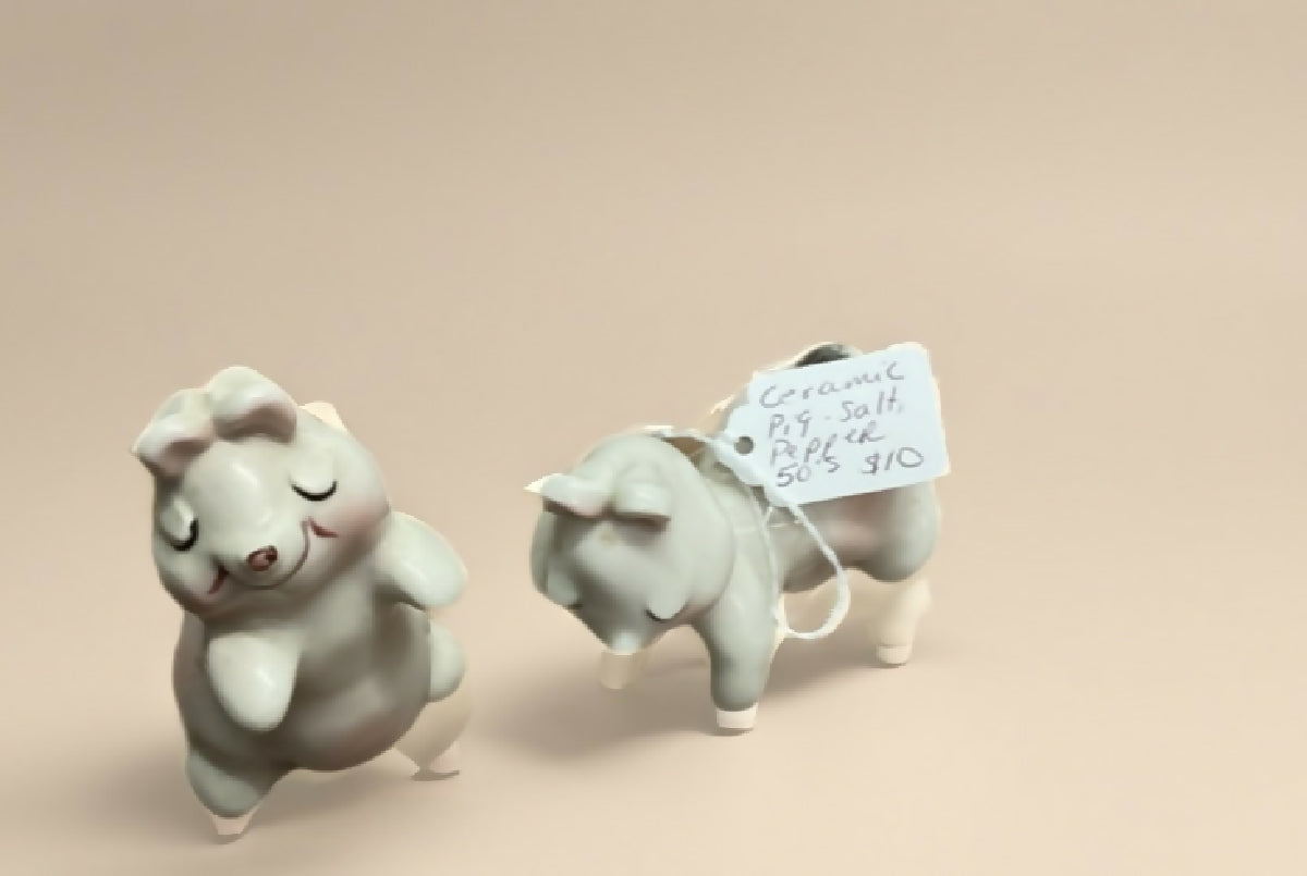 Ceramic pig salt pepper