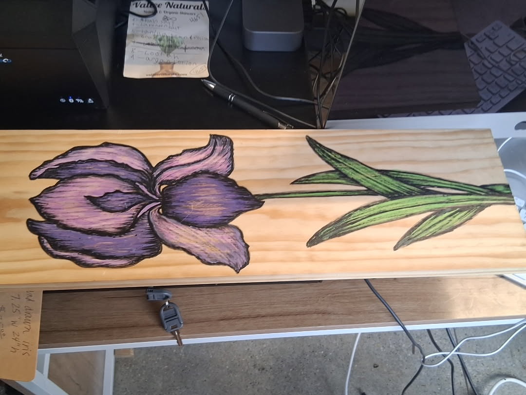 Hand Drawn Iris — 7.25" x 24"