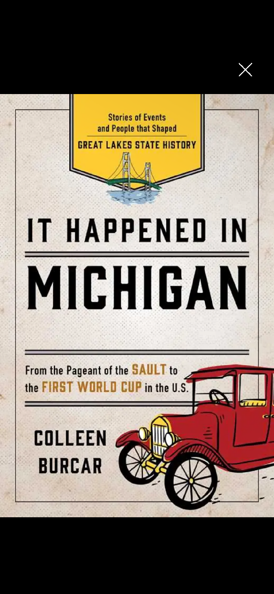 It happened in Michigan book